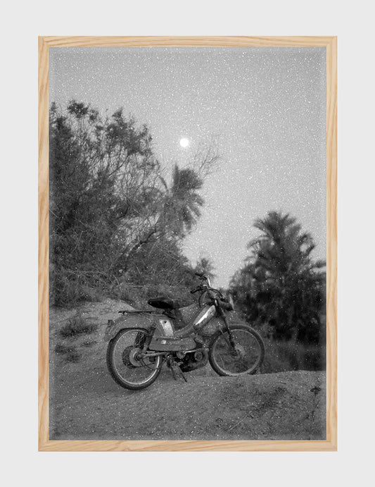 I Asked The Moon